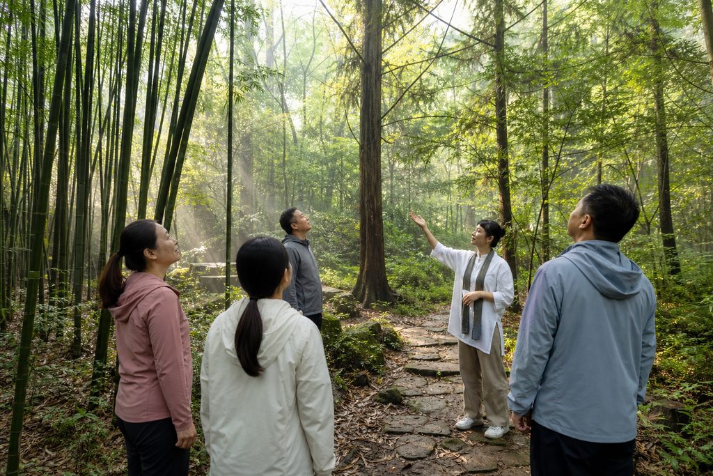shinrin yoku forest bathing China price - medical illustration