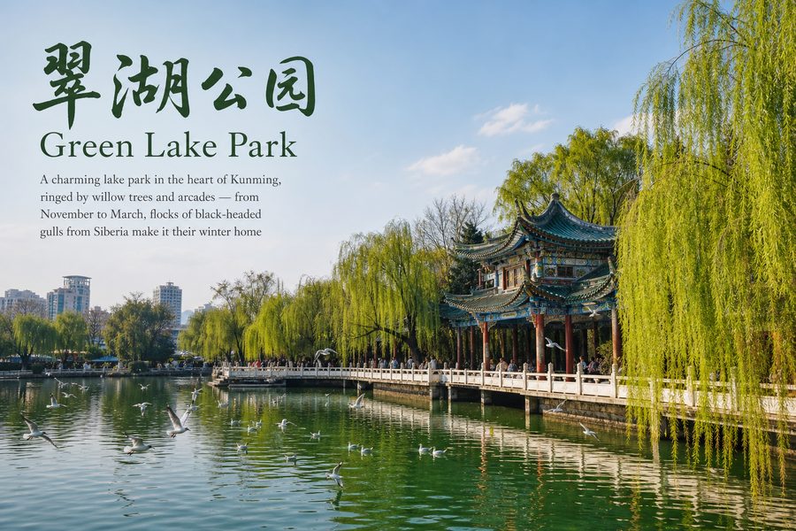 Green Lake Park