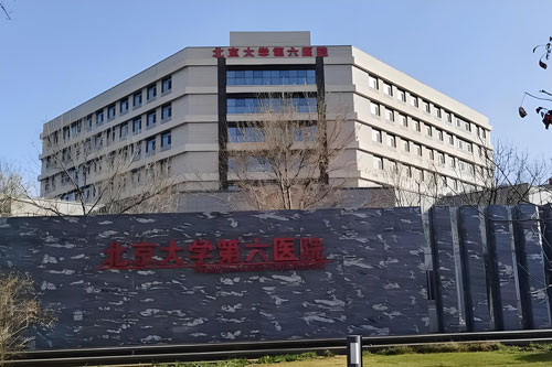 Peking University Sixth Hospital (Institute of Mental Health)