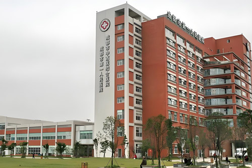 Chengdu First People’s Hospital (Chengdu Integrated TCM & Western Medicine Hospital)