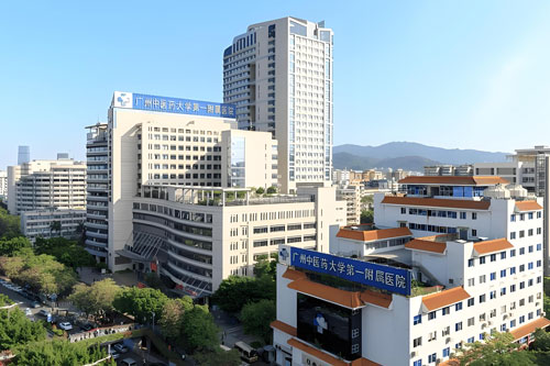 The First Affiliated Hospital of Guangzhou University of Chinese Medicine
