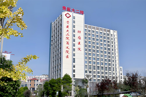 The Second Affiliated Hospital of Guizhou Medical University