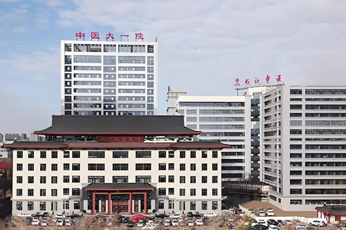 The First Affiliated Hospital of Heilongjiang University of Chinese Medicine