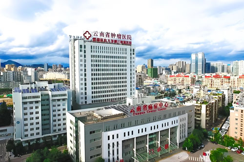 Yunnan Cancer Hospital (Third Affiliated Hospital of KMU)
