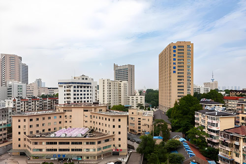 Nanjing Brain Hospital