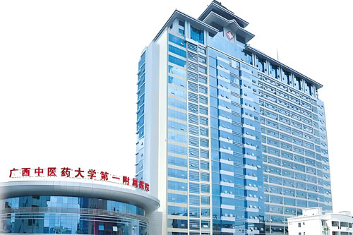 The First Affiliated Hospital of Guangxi University of Chinese Medicine