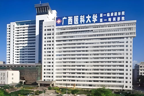 First Affiliated Hospital of Guangxi Medical University