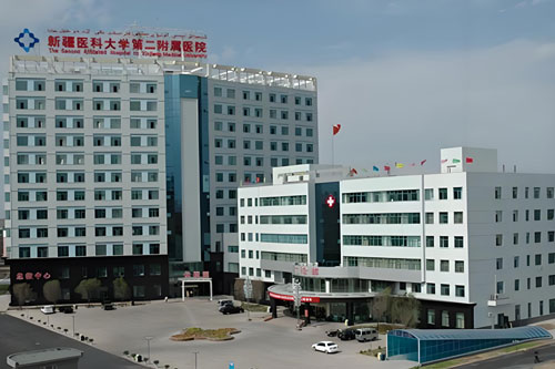 The Second Affiliated Hospital of Xinjiang Medical University
