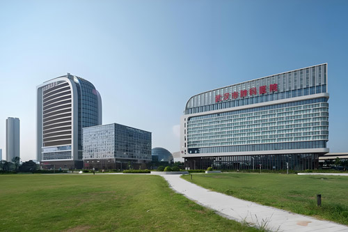 Wuhan Pulmonary Hospital