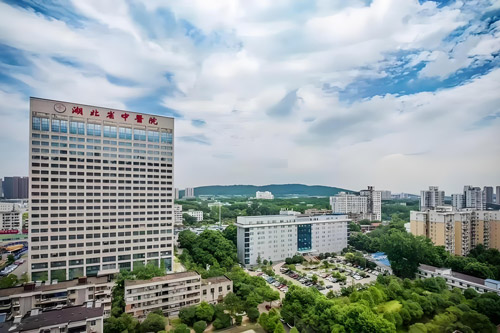 Hubei Provincial Hospital of Traditional Chinese Medicine